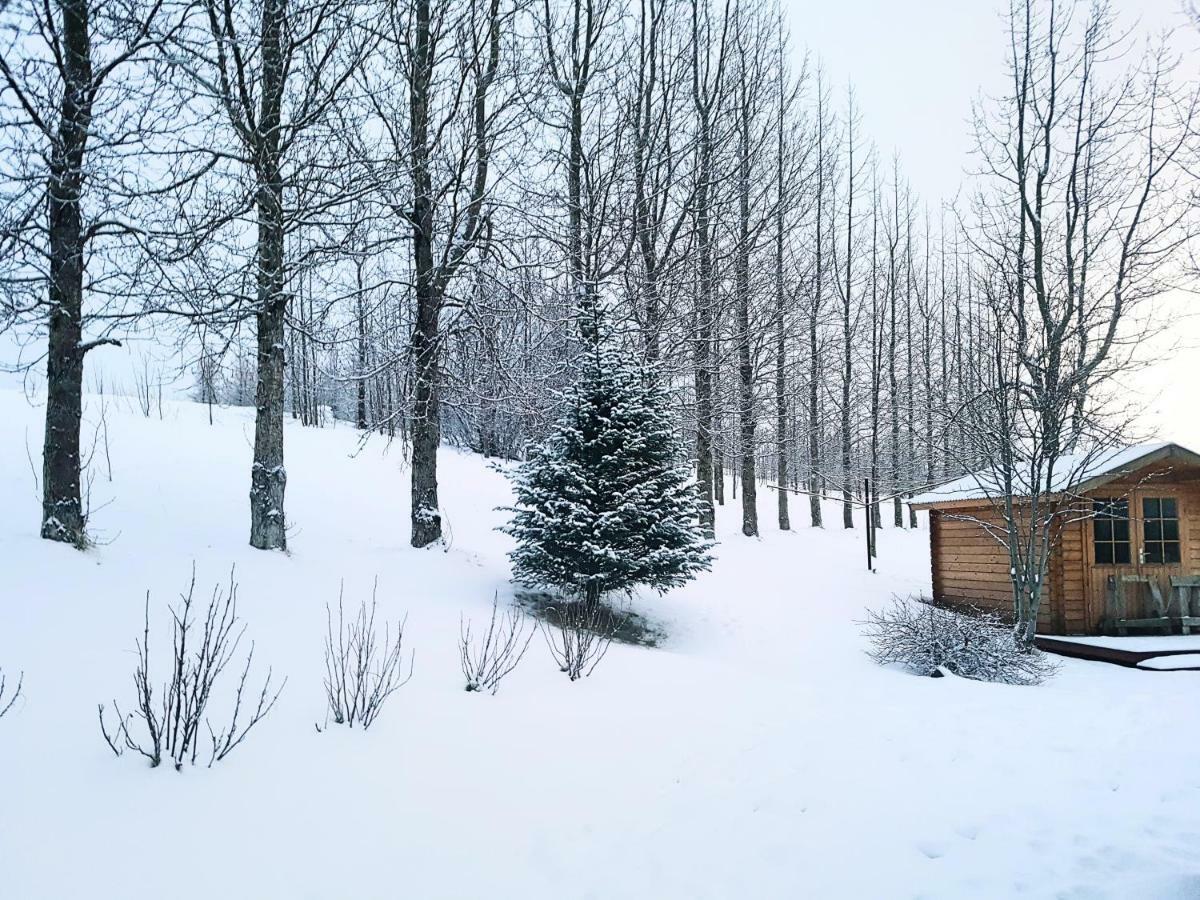 Appartamento Laekjarbakki 11 Varmahlíð Esterno foto